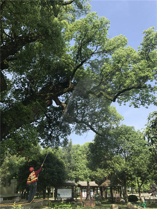 溦