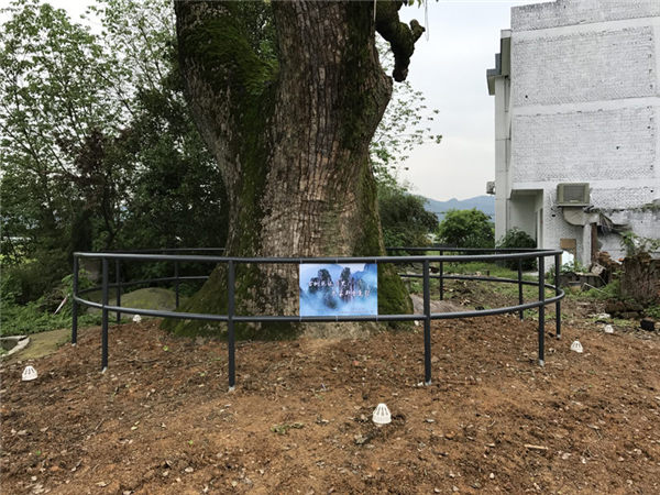 Χ